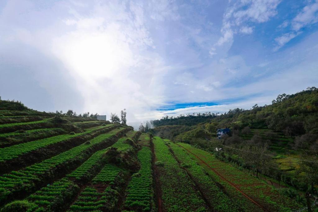 Starlight Hotels Kodai Tamilnadu - Tamilnadu - Kodaikanal Extérieur photo